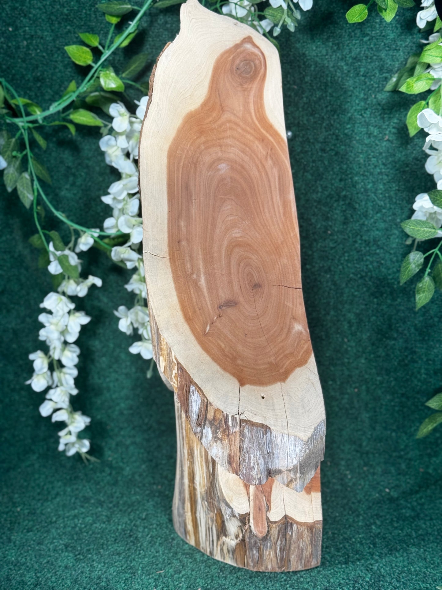 Cedar gnome birdhouse