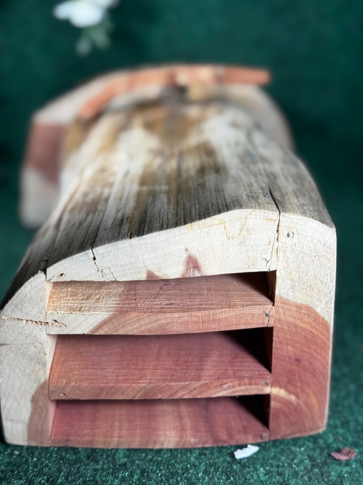 Cedar bathouse
