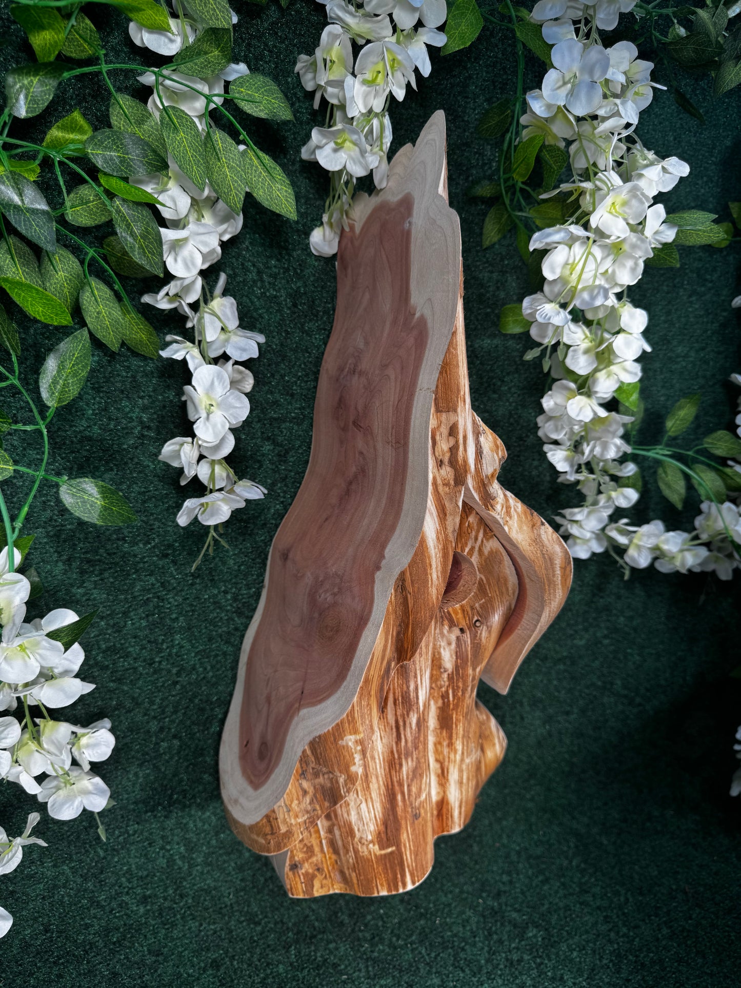 Cedar birdhomes all are unique and one-of-a-kind