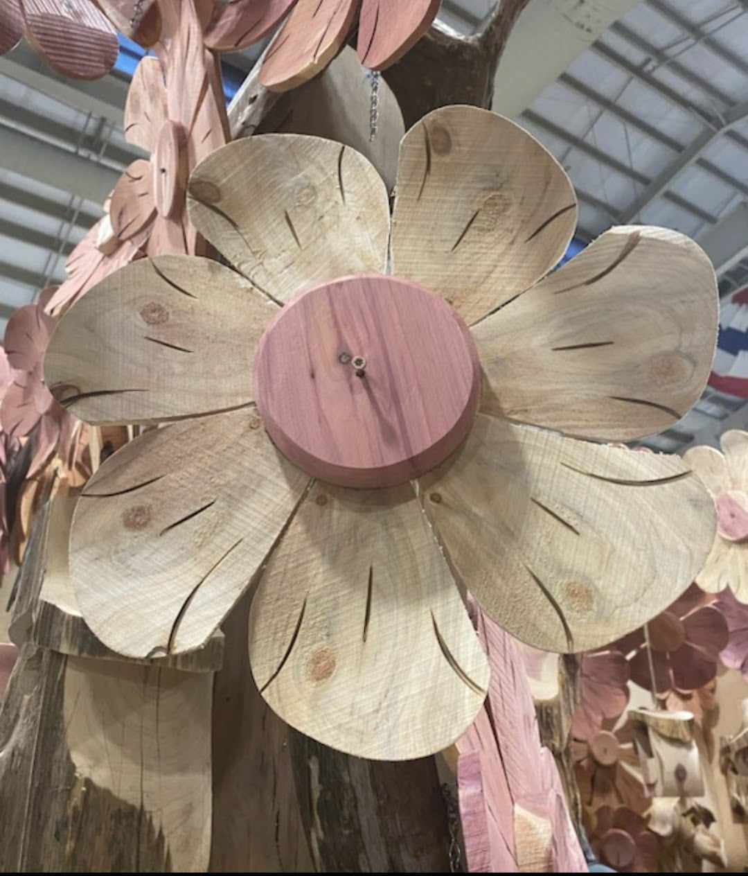 Cedar garden flower