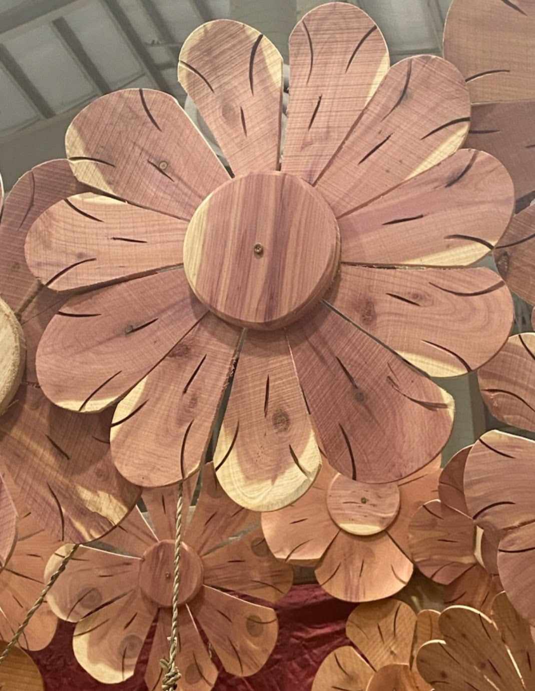 Cedar garden flower