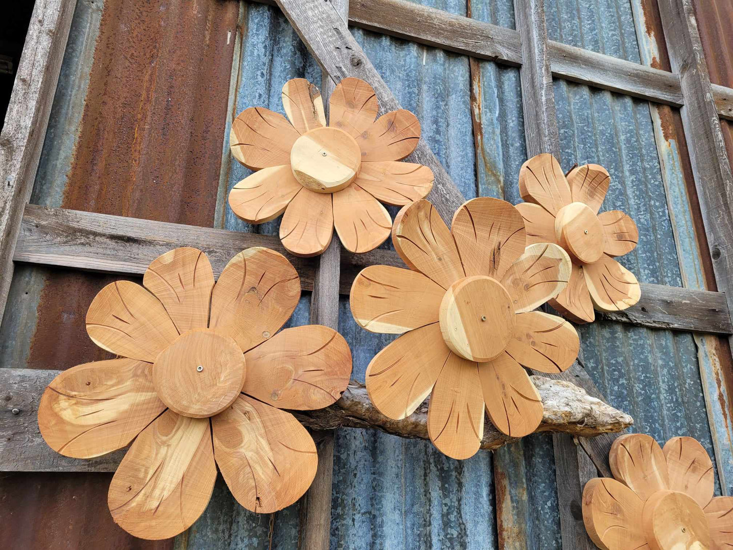 Cedar garden flower
